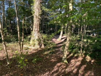 Mitteilung in eigener Sache zu Waldstück Hochheid