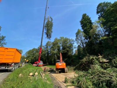 29 Fichten werden am Hergenrather Weiher gefällt