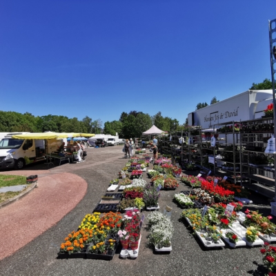 Jos Hansen et Stefan Stippelmans, marchands originaires du Limbourg