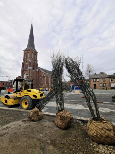 Début des travaux de plantation des arbres sur la place de l’Église