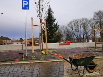 Begrünung des Kirchplatzes schreitet voran