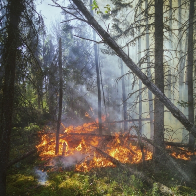 Warnung vor Waldbränden