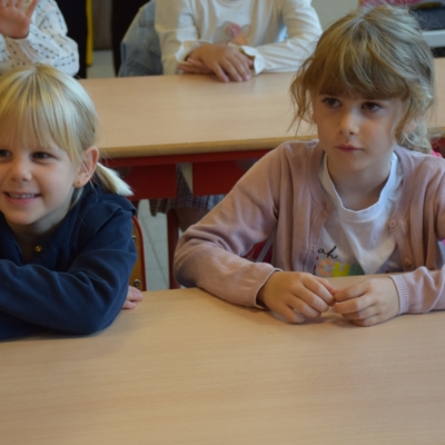 Galeriebild