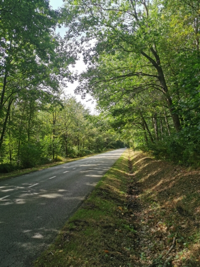 Glasfaserarbeiten im Waldstück zwischen Hergenrath und Hauset