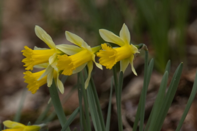 Zwei Events von AVES-Ostkantone in unserer Gemeinde