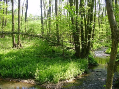 Internationale Initiative verbessert die Wassersicherheit im Einzugsgebiet der Göhl