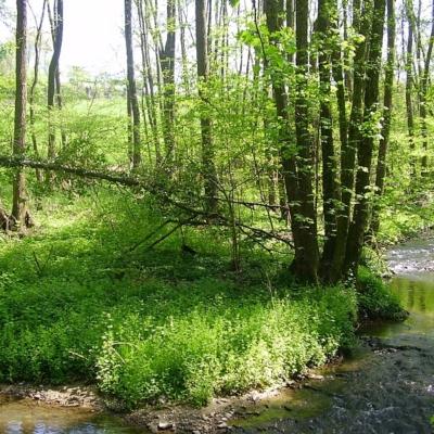Internationale Initiative verbessert die Wassersicherheit im Einzugsgebiet der Göhl