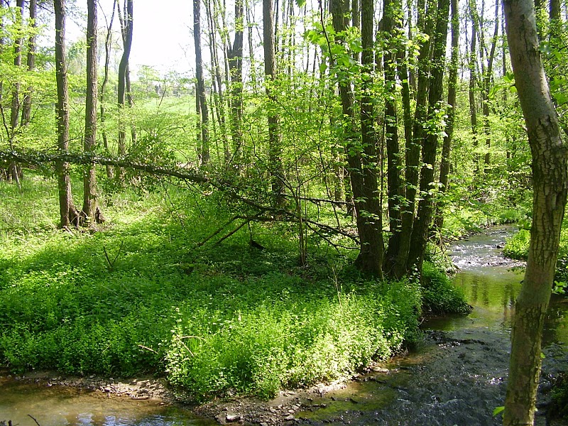 Internationale Initiative verbessert die Wassersicherheit im Einzugsgebiet der Göhl