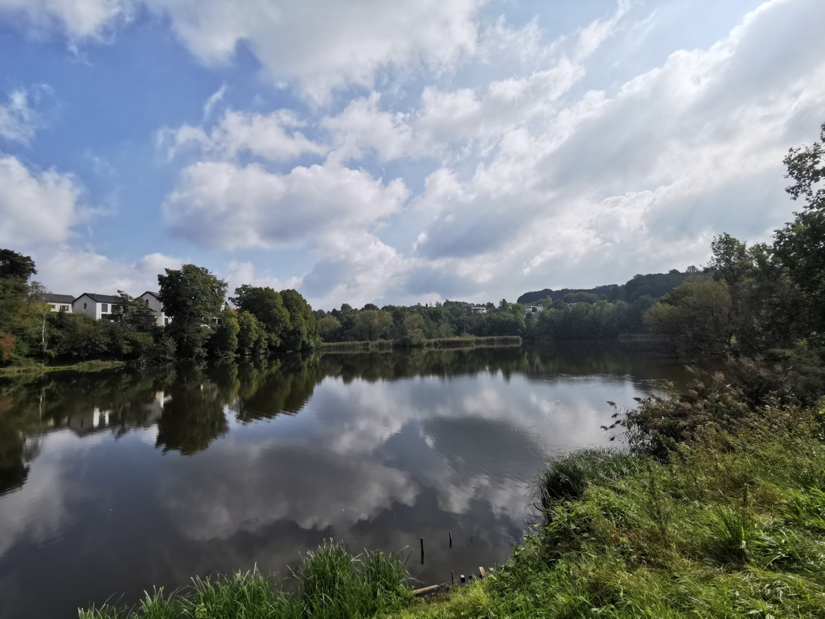 Journées wallonnes de l’eau : randonnée guidée le 15 mars à l&rsquo;étang du Casino
