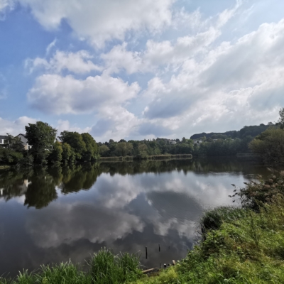 Geführte Wanderung am 15. März: „Die Göhl: Vergangenheit und Natur von heute“