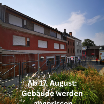 Galeriebild