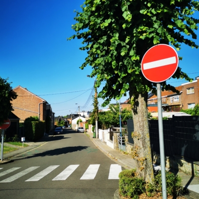 Galeriebild