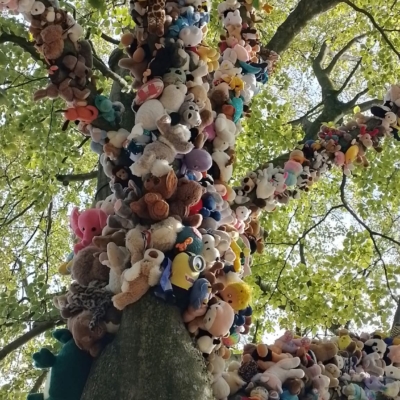 Einladung an alle: Einweihung des Stofftierbaums im ÖSHZ-Park am Donnerstag