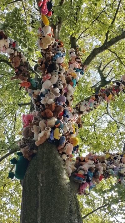 Einladung an alle: Einweihung des Stofftierbaums im ÖSHZ-Park am Donnerstag