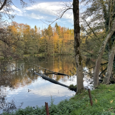 Weiher in Hergenrath wird am 3. November geleert