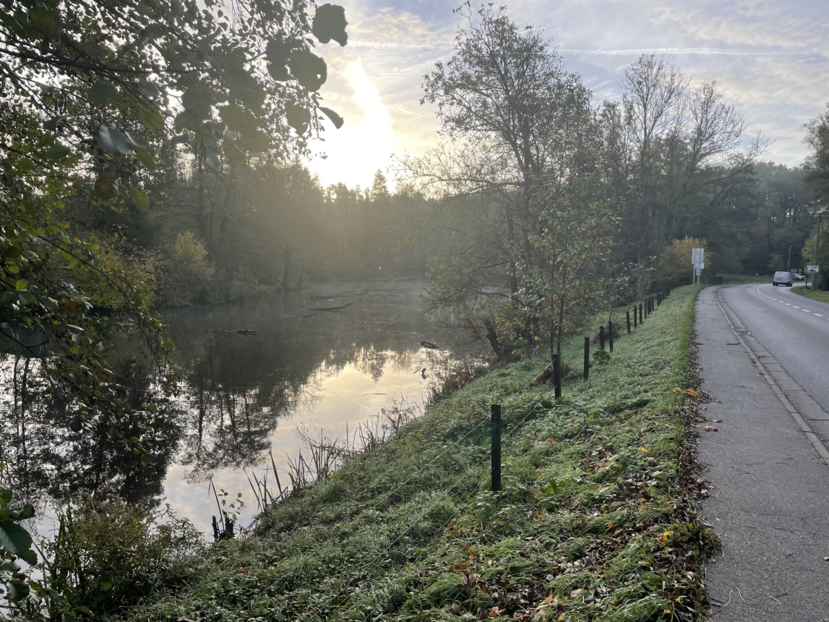 L&rsquo;étang de Hergenrath (rue d’Astenet) sera vidangé le 3 novembre