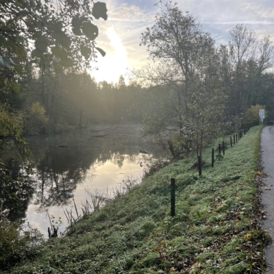 L&rsquo;étang de Hergenrath (rue d’Astenet) sera vidangé le 3 novembre